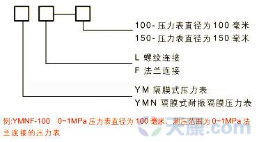 隔膜耐振壓力表規格示意